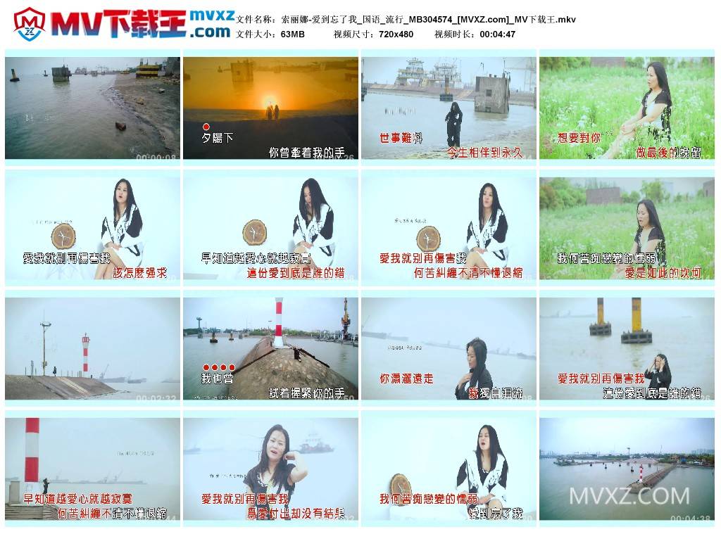 索丽娜-爱到忘了我_国语_流行_MB304574